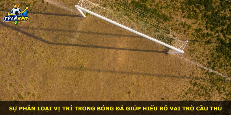 Sự phân loại vị trí trong bóng đá giúp hiểu rõ vai trò cầu thủ