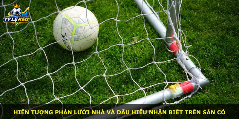 Hiện tượng phản lưới nhà và dấu hiệu nhận biết trên sân cỏ